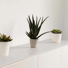 Best Price & Premium Quartz